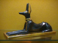Anubis