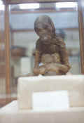 opice.jpg (36875 bytes)